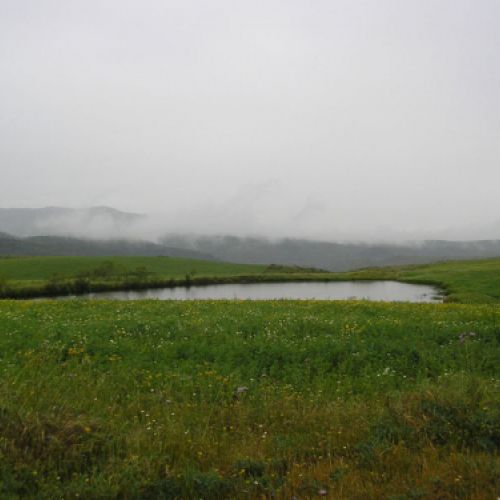 Imágenes de la ganadería Palacios en Getafe9