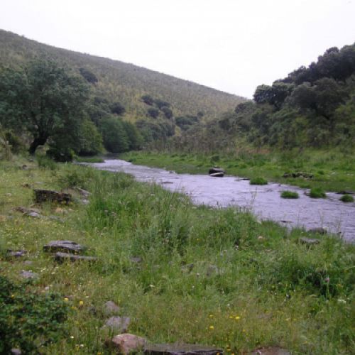 Imágenes de la ganadería Palacios en Getafe10